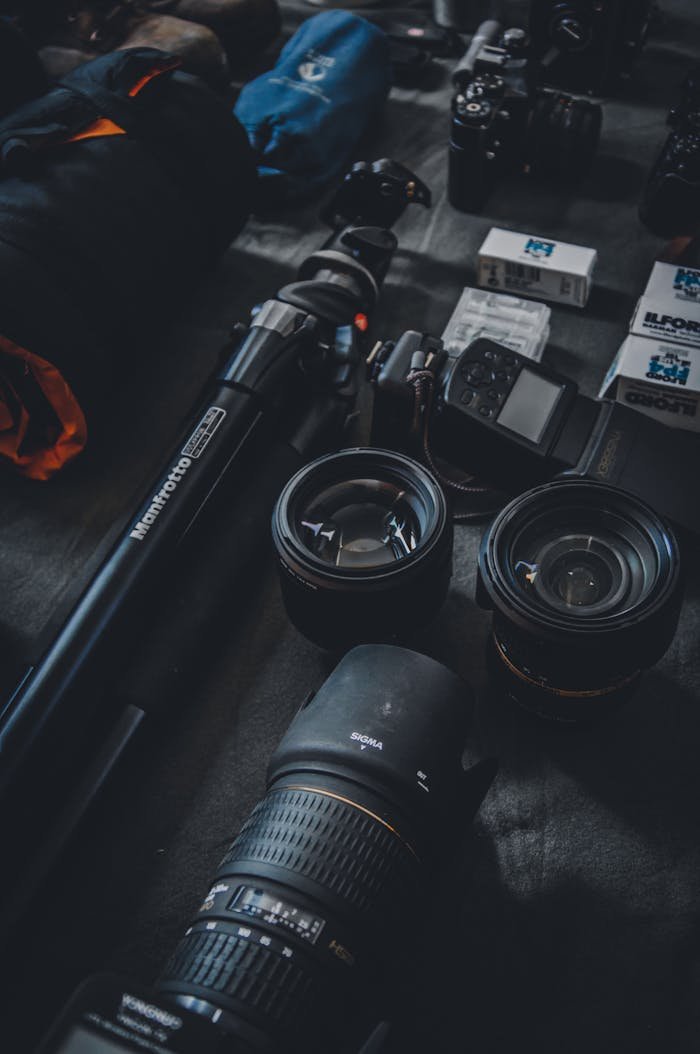 pexels photo 821749